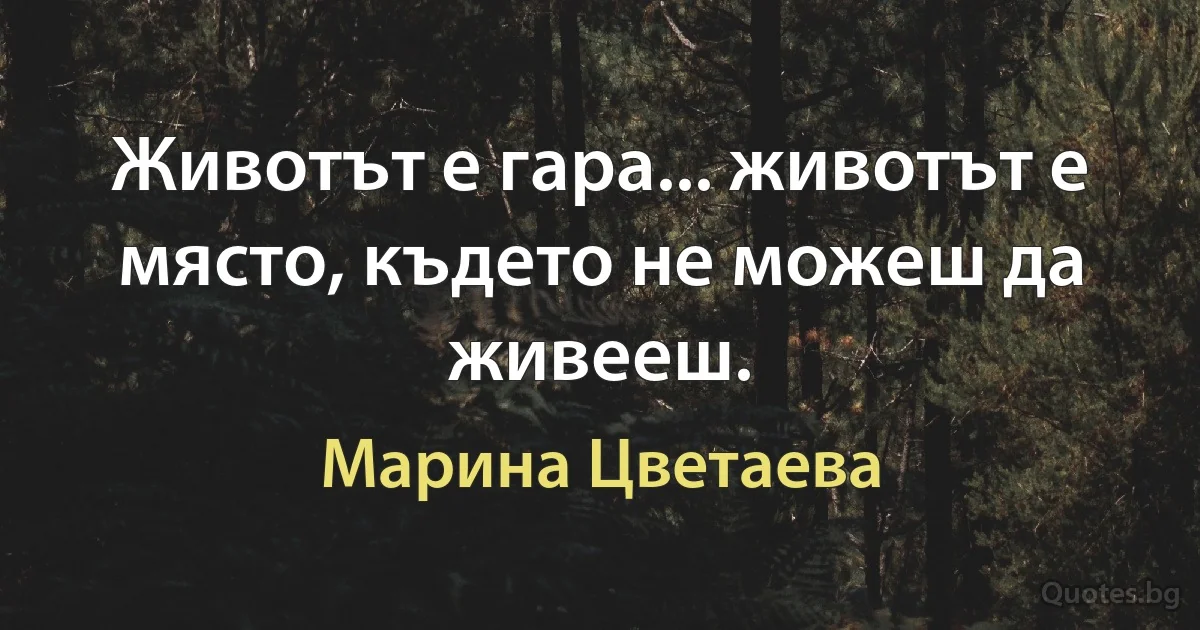 Животът е гара... животът е място, където не можеш да живееш. (Марина Цветаева)