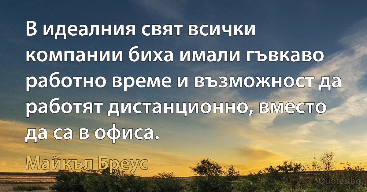 В идеалния свят всички компании биха имали гъвкаво работно време и възможност да работят дистанционно, вместо да са в офиса. (Майкъл Бреус)