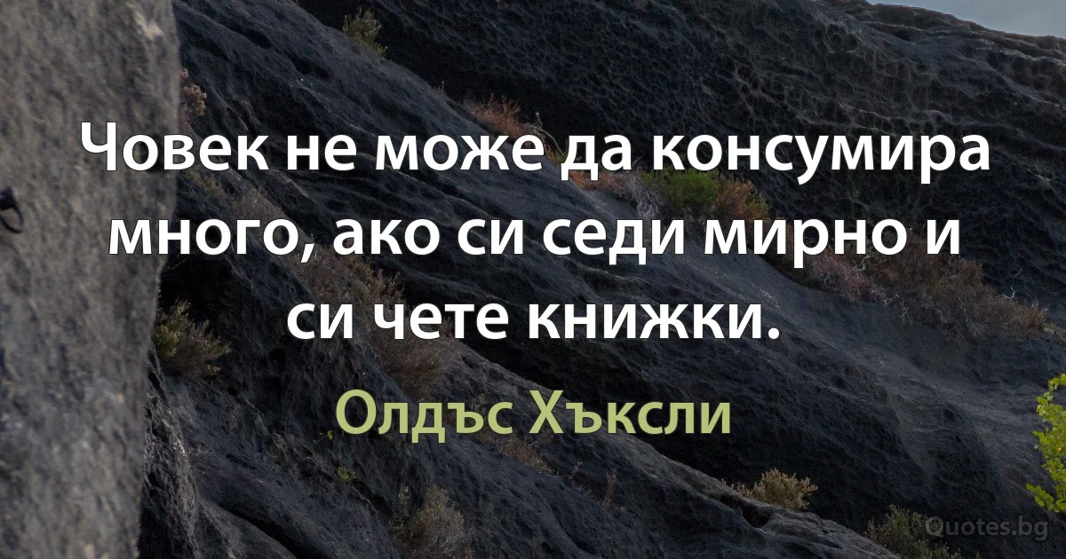 Човек не може да консумира много, ако си седи мирно и си чете книжки. (Олдъс Хъксли)