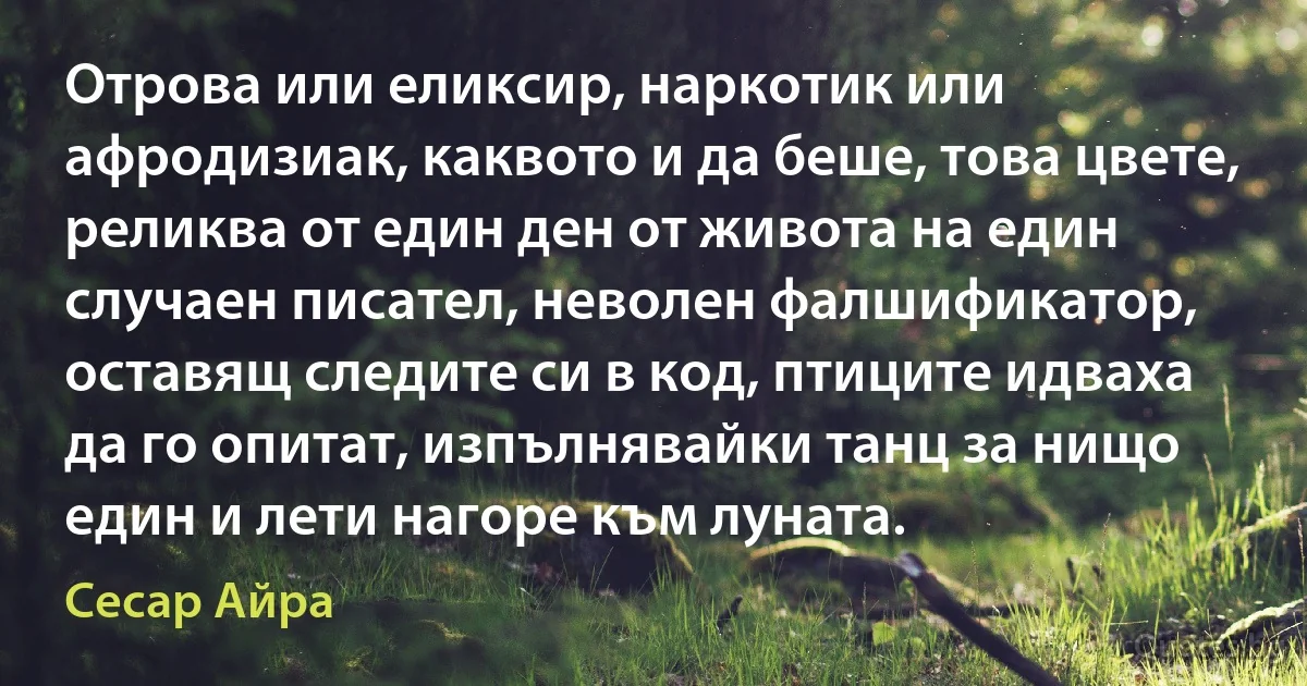 Отрова или еликсир, наркотик или афродизиак, каквото и да беше, това цвете, реликва от един ден от живота на един случаен писател, неволен фалшификатор, оставящ следите си в код, птиците идваха да го опитат, изпълнявайки танц за нищо един и лети нагоре към луната. (Сесар Айра)