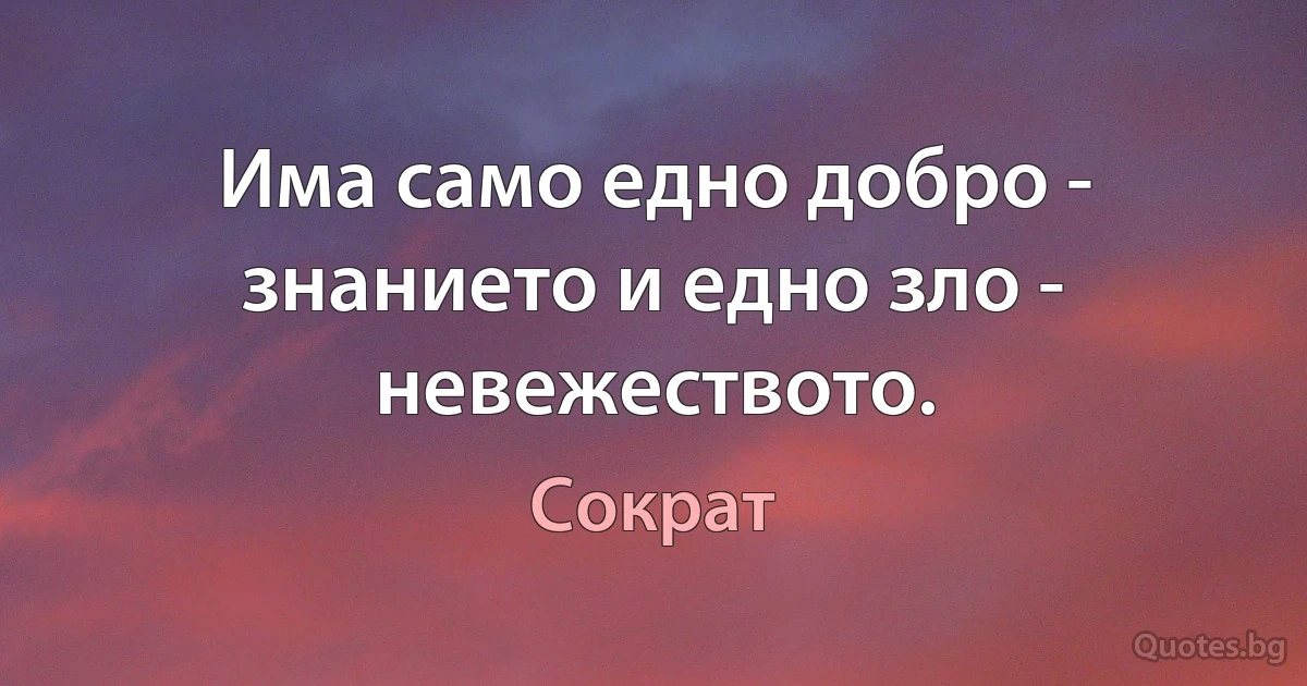 Има само едно добро - знанието и едно зло - невежеството. (Сократ)