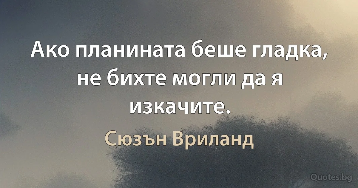 Ако планината беше гладка, не бихте могли да я изкачите. (Сюзън Вриланд)