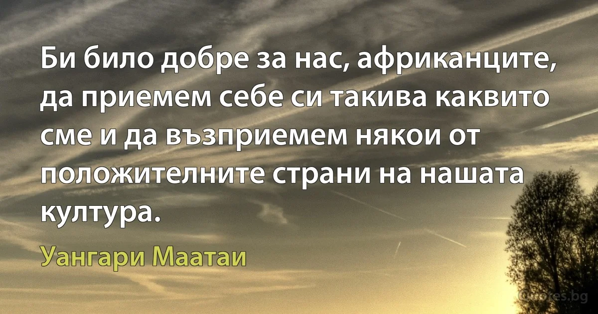 Би било добре за нас, африканците, да приемем себе си такива каквито сме и да възприемем някои от положителните страни на нашата култура. (Уангари Маатаи)