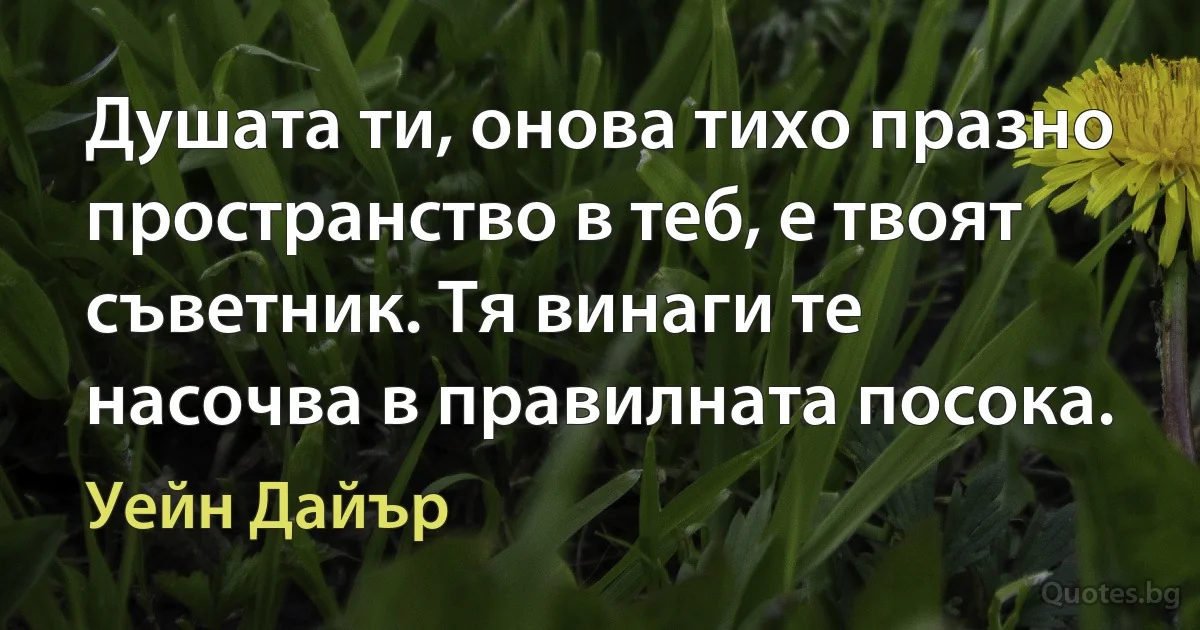 Душата ти, онова тихо празно пространство в теб, е твоят съветник. Тя винаги те насочва в правилната посока. (Уейн Дайър)