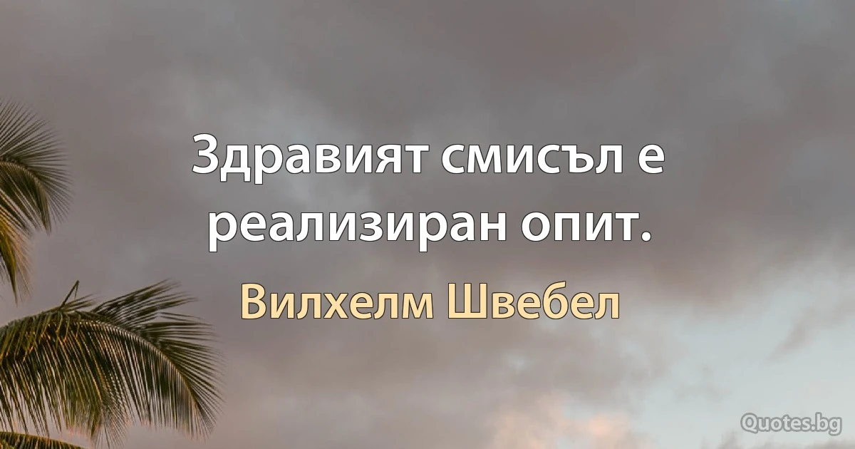 Здравият смисъл е реализиран опит. (Вилхелм Швебел)