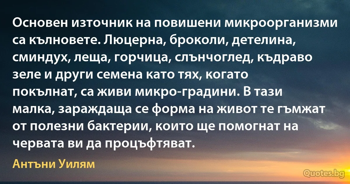 Основен източник на повишени микроорганизми са кълновете. Люцерна, броколи, детелина, сминдух, леща, горчица, слънчоглед, къдраво зеле и други семена като тях, когато покълнат, са живи микро-градини. В тази малка, зараждаща се форма на живот те гъмжат от полезни бактерии, които ще помогнат на червата ви да процъфтяват. (Антъни Уилям)