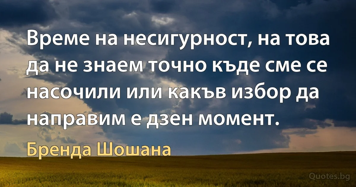 Време на несигурност, на това да не знаем точно къде сме се насочили или какъв избор да направим е дзен момент. (Бренда Шошана)