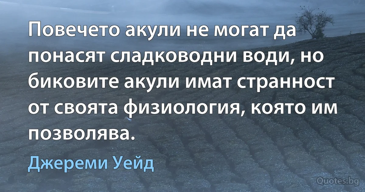 Повечето акули не могат да понасят сладководни води, но биковите акули имат странност от своята физиология, която им позволява. (Джереми Уейд)