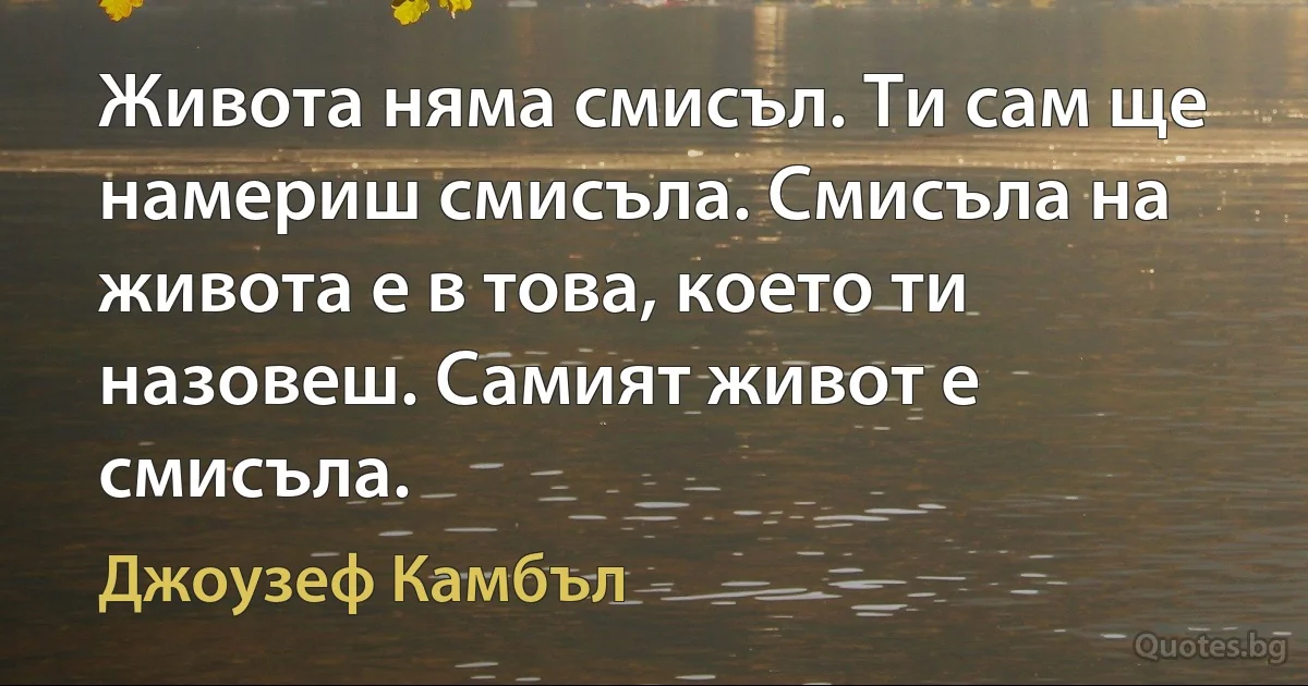 Живота няма смисъл. Ти сам ще намериш смисъла. Смисъла на живота е в това, което ти назовеш. Самият живот е смисъла. (Джоузеф Камбъл)