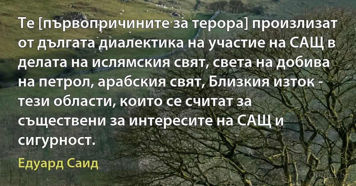 Те [първопричините за терора] произлизат от дългата диалектика на участие на САЩ в делата на ислямския свят, света на добива на петрол, арабския свят, Близкия изток - тези области, които се считат за съществени за интересите на САЩ и сигурност. (Едуард Саид)