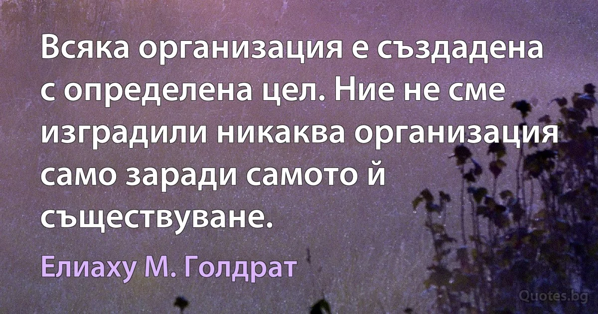 Всяка организация е създадена с определена цел. Ние не сме изградили никаква организация само заради самото й съществуване. (Елиаху М. Голдрат)