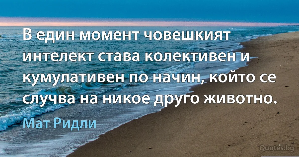 В един момент човешкият интелект става колективен и кумулативен по начин, който се случва на никое друго животно. (Мат Ридли)