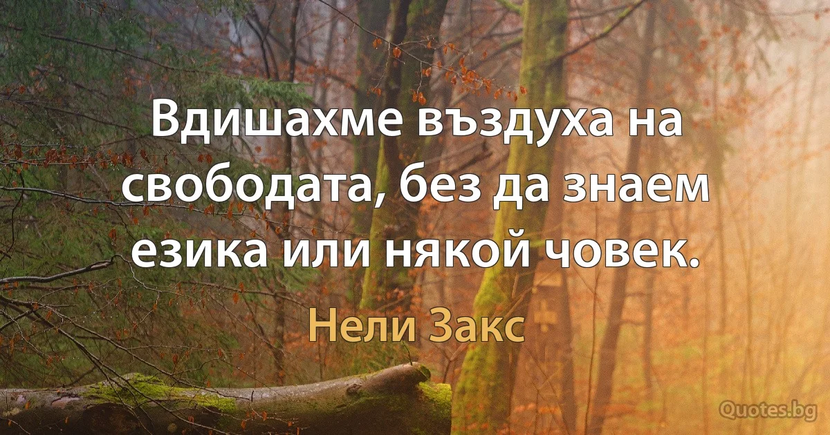 Вдишахме въздуха на свободата, без да знаем езика или някой човек. (Нели Закс)