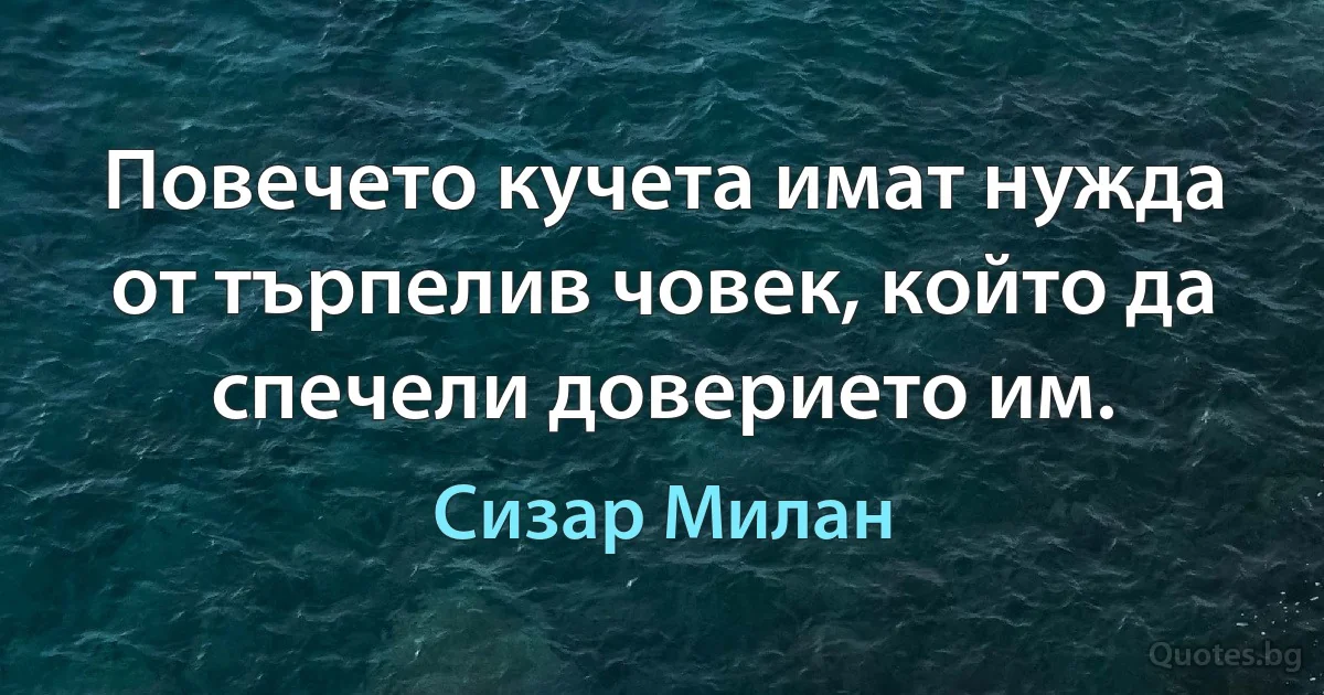 Повечето кучета имат нужда от търпелив човек, който да спечели доверието им. (Сизар Милан)