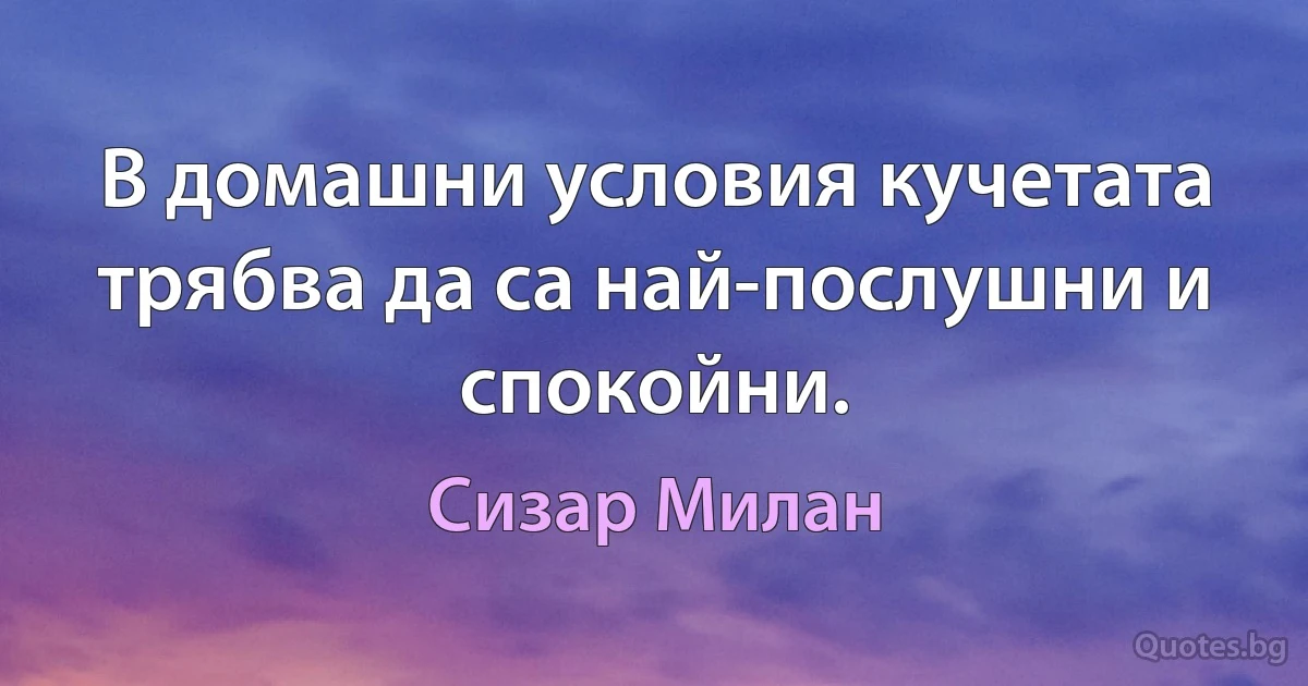 В домашни условия кучетата трябва да са най-послушни и спокойни. (Сизар Милан)