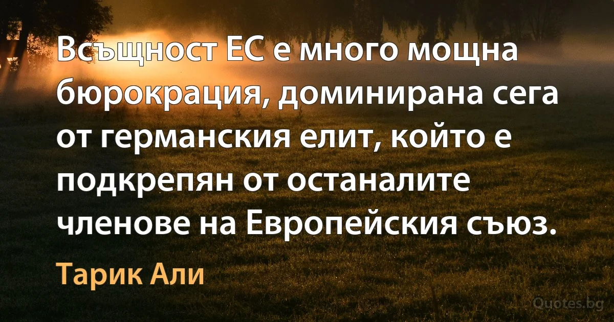 Всъщност ЕС е много мощна бюрокрация, доминирана сега от германския елит, който е подкрепян от останалите членове на Европейския съюз. (Тарик Али)