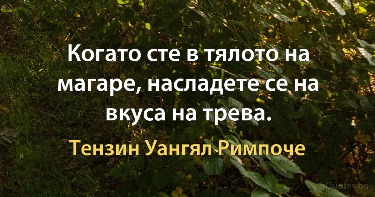 Когато сте в тялото на магаре, насладете се на вкуса на трева. (Тензин Уангял Римпоче)