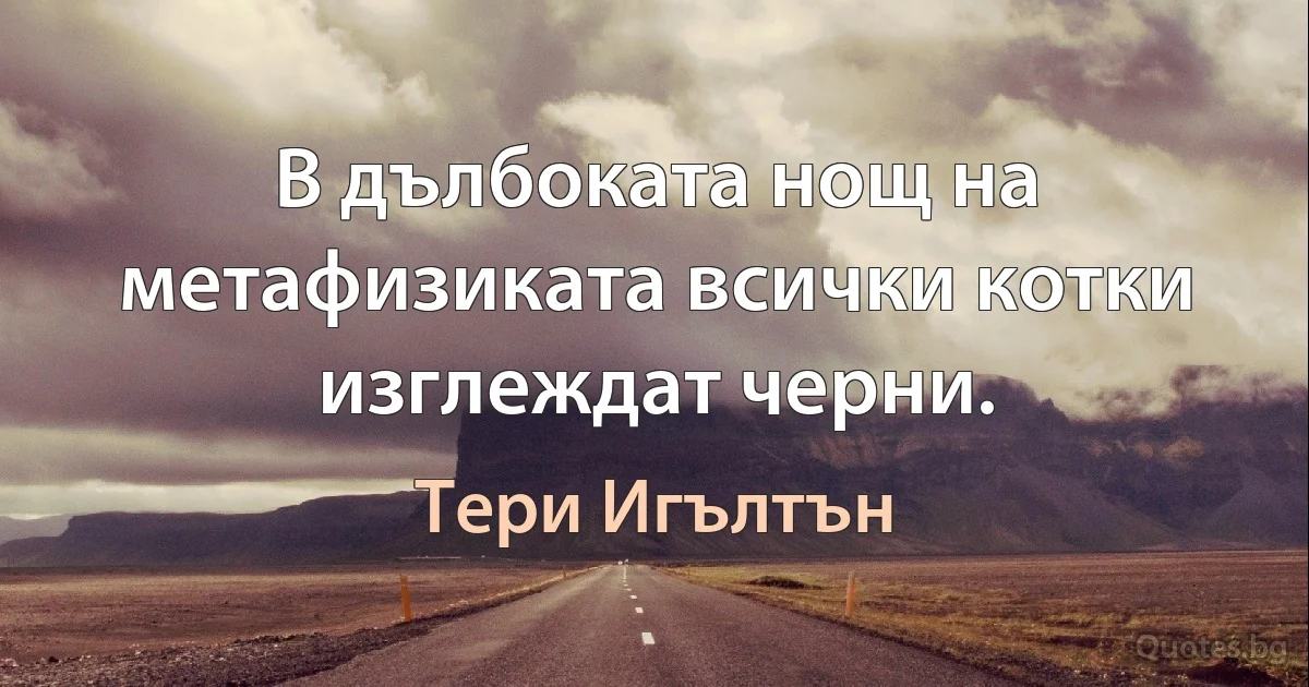 В дълбоката нощ на метафизиката всички котки изглеждат черни. (Тери Игълтън)