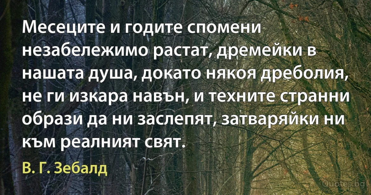 Месеците и годите спомени незабележимо растат, дремейки в нашата душа, докато някоя дреболия, не ги изкара навън, и техните странни образи да ни заслепят, затваряйки ни към реалният свят. (В. Г. Зебалд)