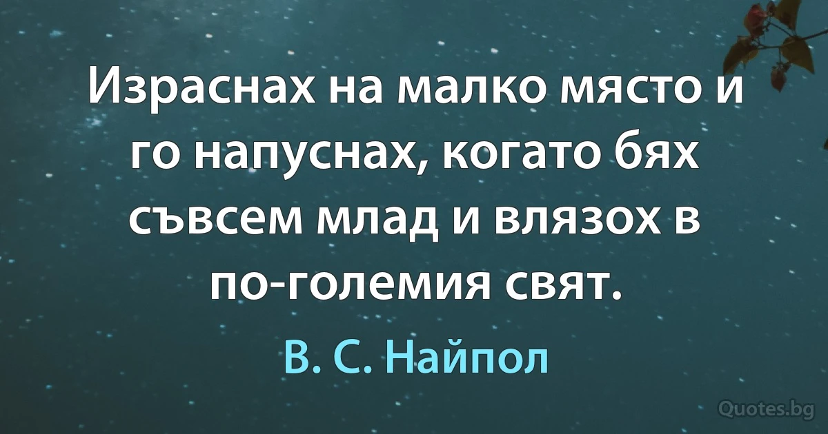 Израснах на малко място и го напуснах, когато бях съвсем млад и влязох в по-големия свят. (В. С. Найпол)