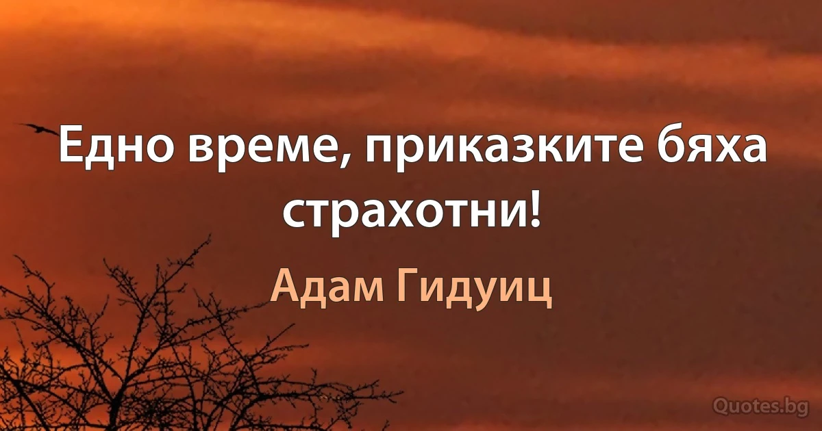 Едно време, приказките бяха страхотни! (Адам Гидуиц)