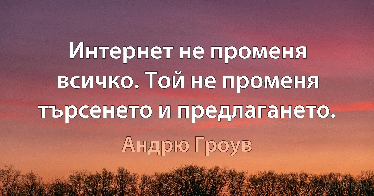 Интернет не променя всичко. Той не променя търсенето и предлагането. (Андрю Гроув)