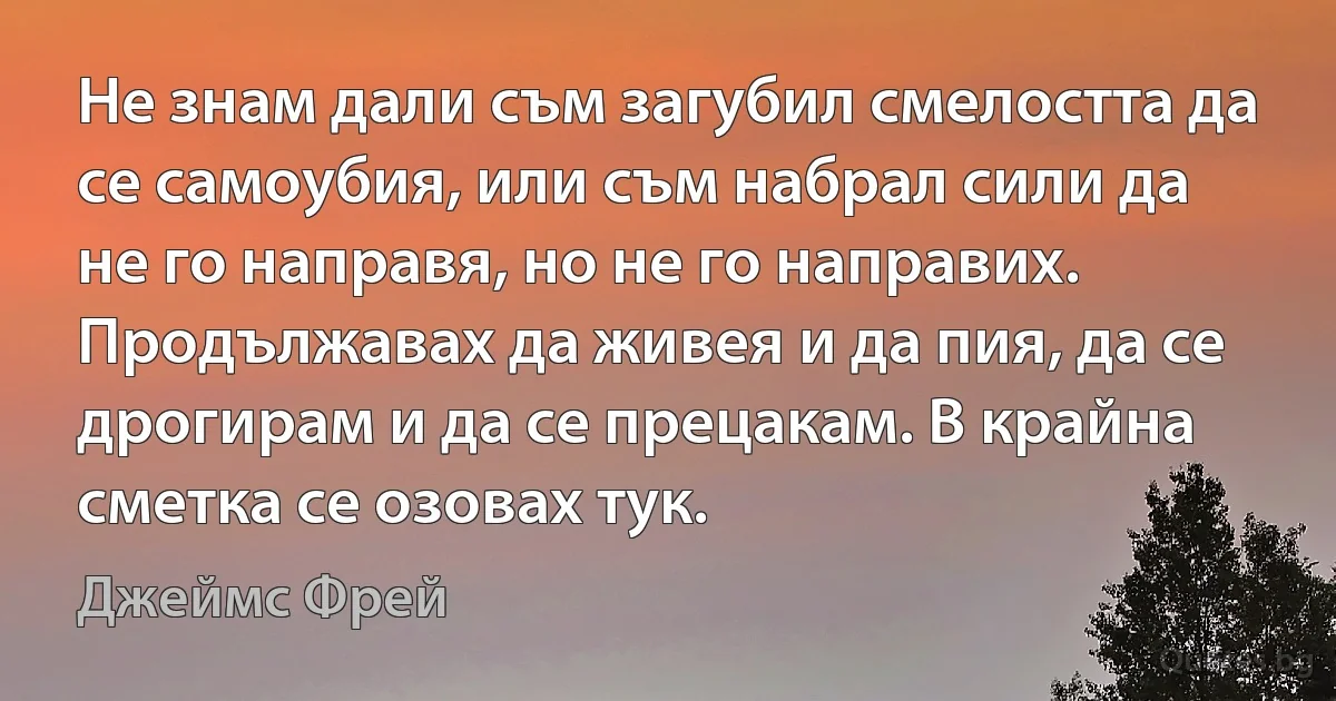 Не знам дали съм загубил смелостта да се самоубия, или съм набрал сили да не го направя, но не го направих. Продължавах да живея и да пия, да се дрогирам и да се прецакам. В крайна сметка се озовах тук. (Джеймс Фрей)