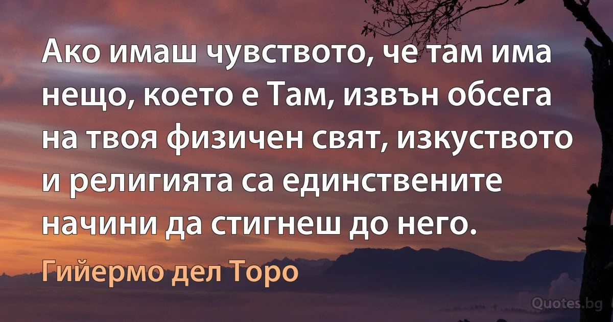 Ако имаш чувството, че там има нещо, което е Там, извън обсега на твоя физичен свят, изкуството и религията са единствените начини да стигнеш до него. (Гийермо дел Торо)