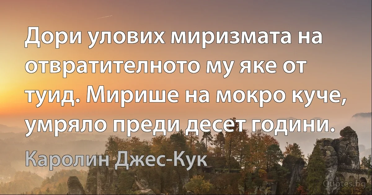 Дори улових миризмата на отвратителното му яке от туид. Мирише на мокро куче, умряло преди десет години. (Каролин Джес-Кук)