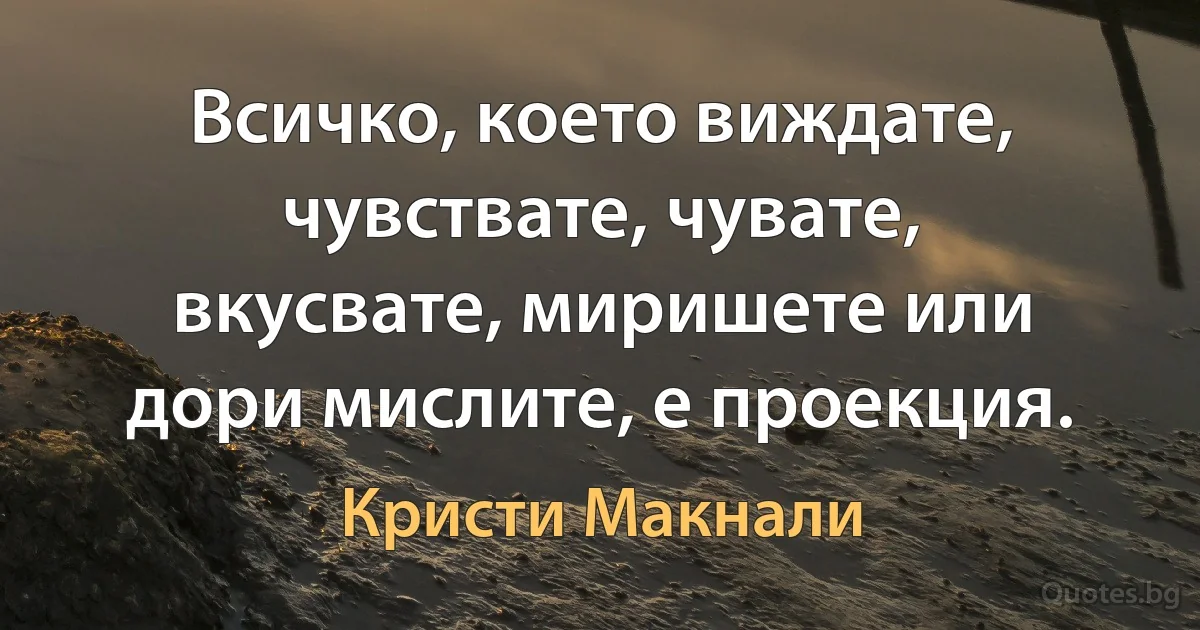 Всичко, което виждате, чувствате, чувате, вкусвате, миришете или дори мислите, е проекция. (Кристи Макнали)