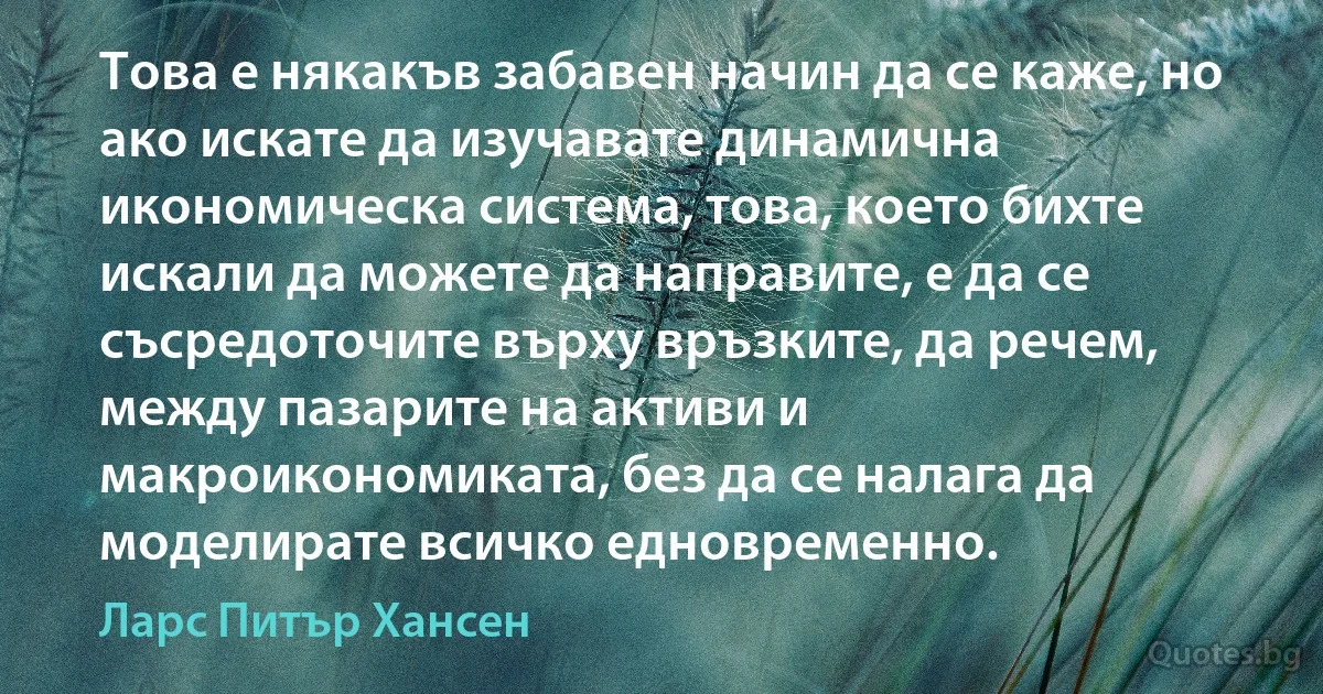 Това е някакъв забавен начин да се каже, но ако искате да изучавате динамична икономическа система, това, което бихте искали да можете да направите, е да се съсредоточите върху връзките, да речем, между пазарите на активи и макроикономиката, без да се налага да моделирате всичко едновременно. (Ларс Питър Хансен)