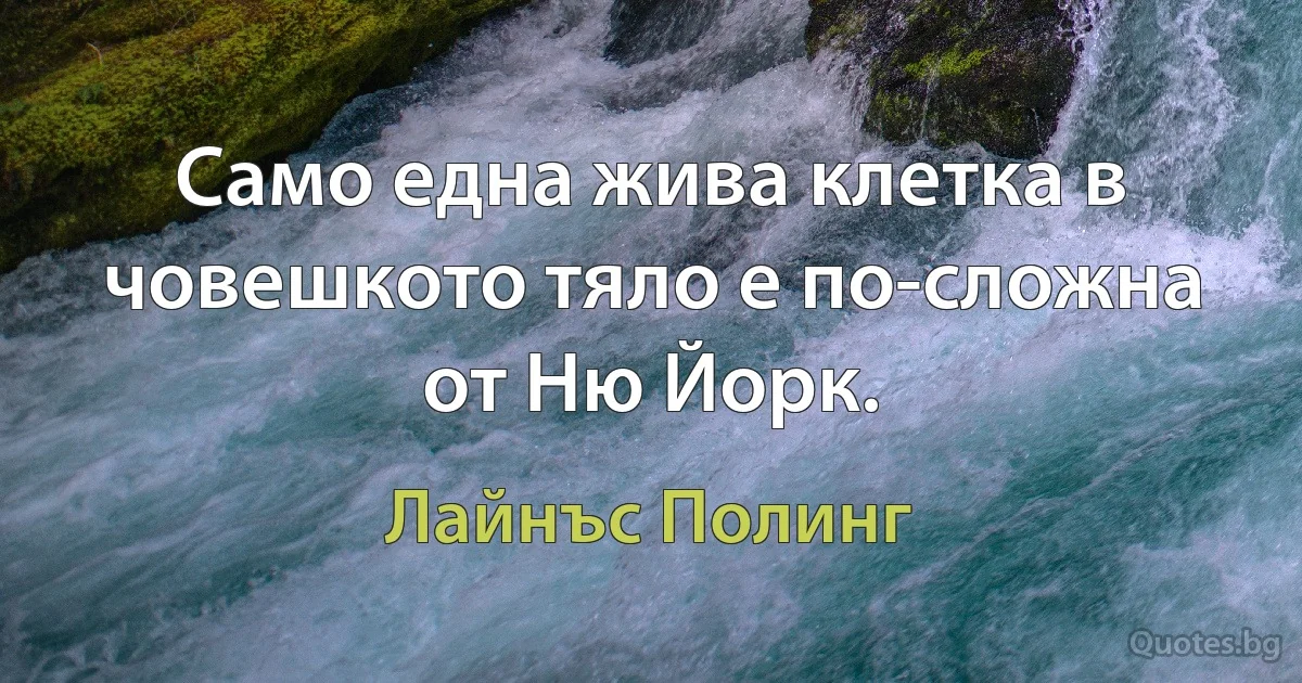 Само една жива клетка в човешкото тяло е по-сложна от Ню Йорк. (Лайнъс Полинг)