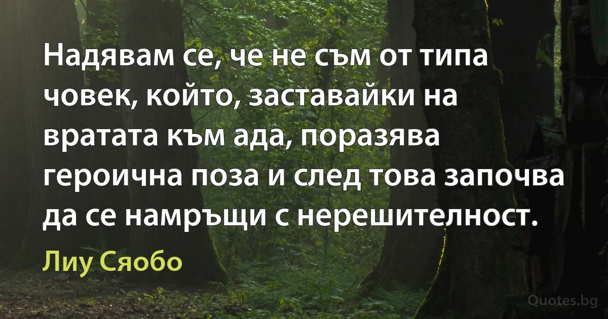 Надявам се, че не съм от типа човек, който, заставайки на вратата към ада, поразява героична поза и след това започва да се намръщи с нерешителност. (Лиу Сяобо)