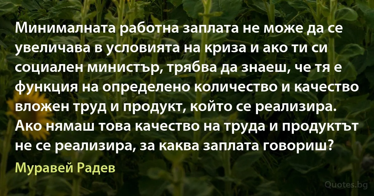 Минималната работна заплата не може да се увеличава в условията на криза и ако ти си социален министър, трябва да знаеш, че тя е функция на определено количество и качество вложен труд и продукт, който се реализира. Ако нямаш това качество на труда и продуктът не се реализира, за каква заплата говориш? (Муравей Радев)