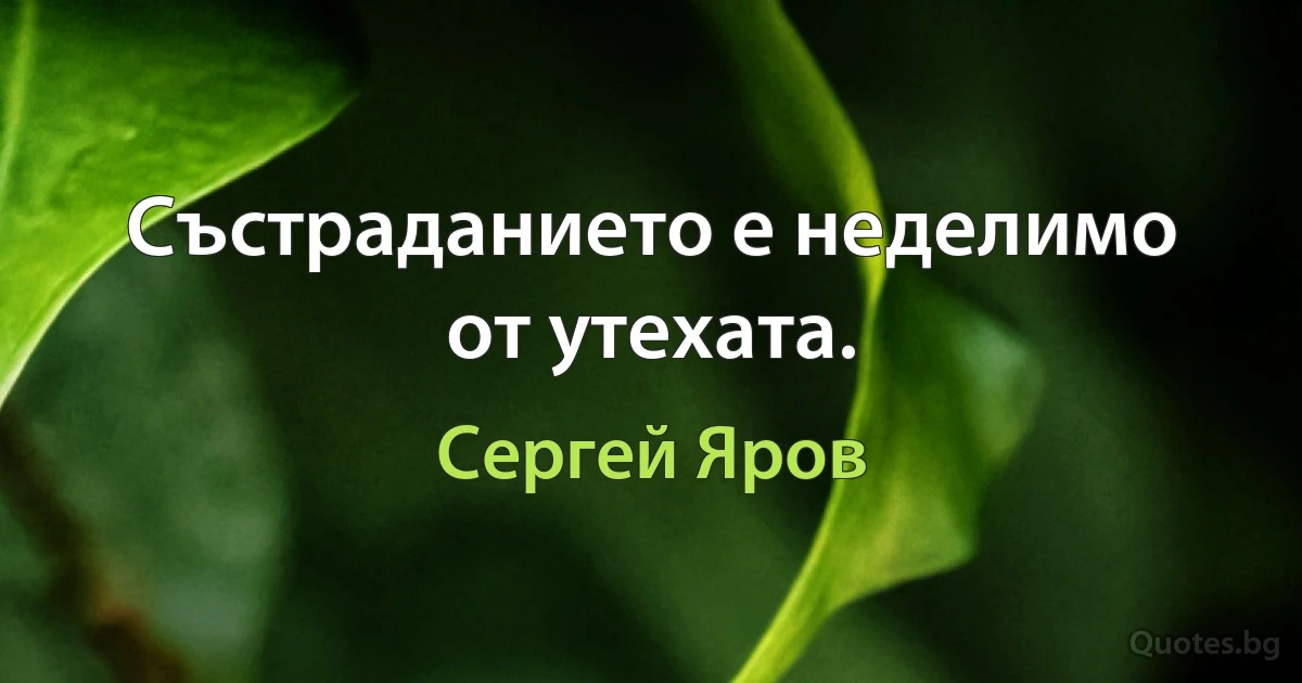 Състраданието е неделимо от утехата. (Сергей Яров)