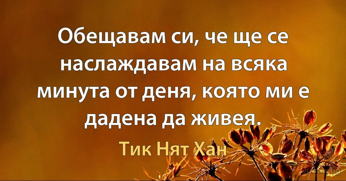 Обещавам си, че ще се наслаждавам на всяка минута от деня, която ми е дадена да живея. (Тик Нят Хан)