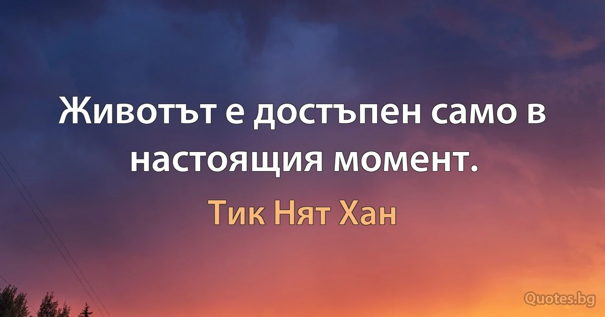 Животът е достъпен само в настоящия момент. (Тик Нят Хан)