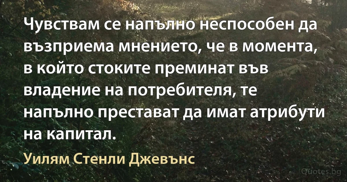 Чувствам се напълно неспособен да възприема мнението, че в момента, в който стоките преминат във владение на потребителя, те напълно престават да имат атрибути на капитал. (Уилям Стенли Джевънс)