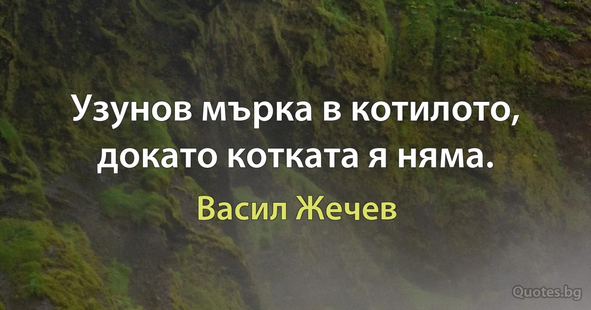 Узунов мърка в котилото, докато котката я няма. (Васил Жечев)