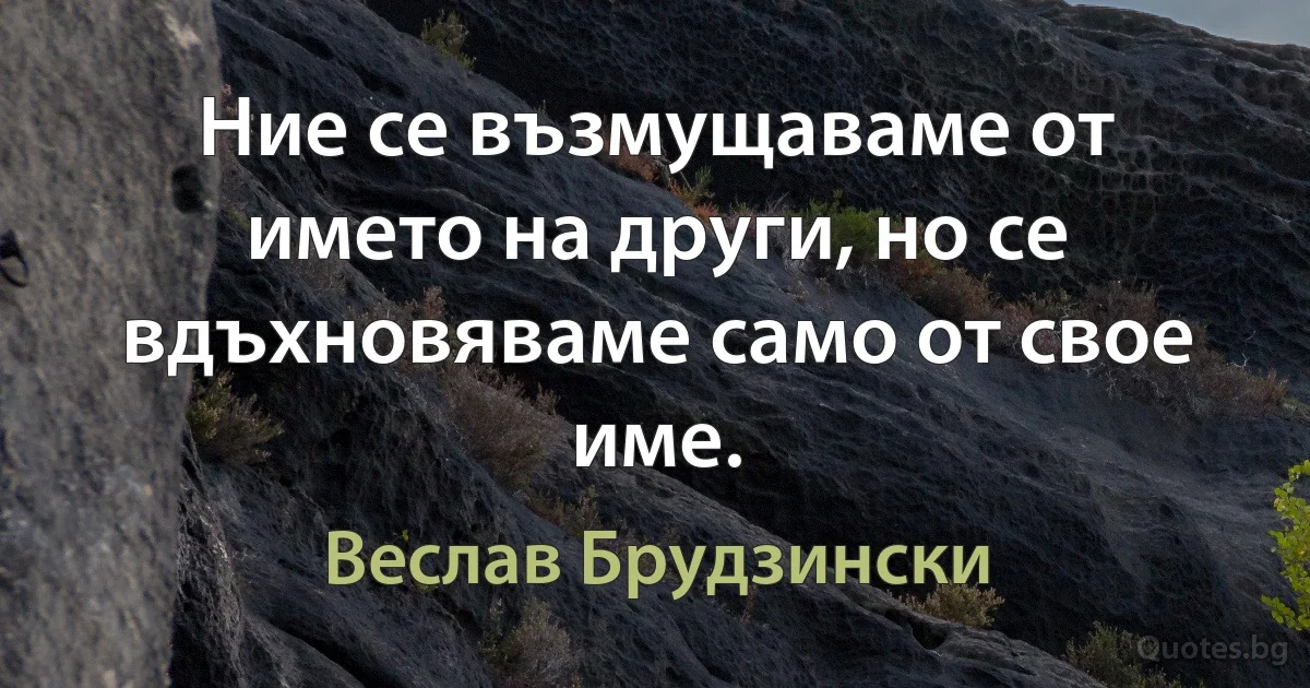 Ние се възмущаваме от името на други, но се вдъхновяваме само от свое име. (Веслав Брудзински)