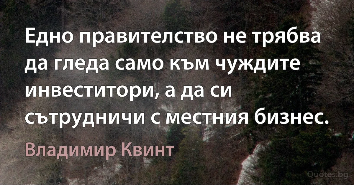 Едно правителство не трябва да гледа само към чуждите инвеститори, а да си сътрудничи с местния бизнес. (Владимир Квинт)