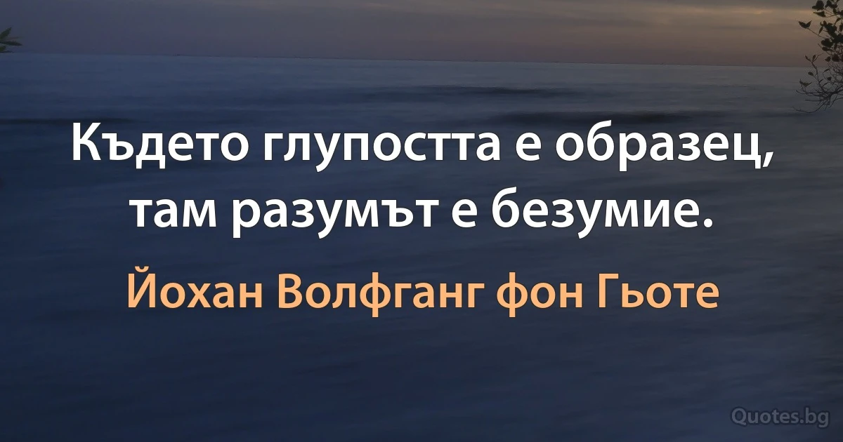 Където глупостта е образец, там разумът е безумие. (Йохан Волфганг фон Гьоте)