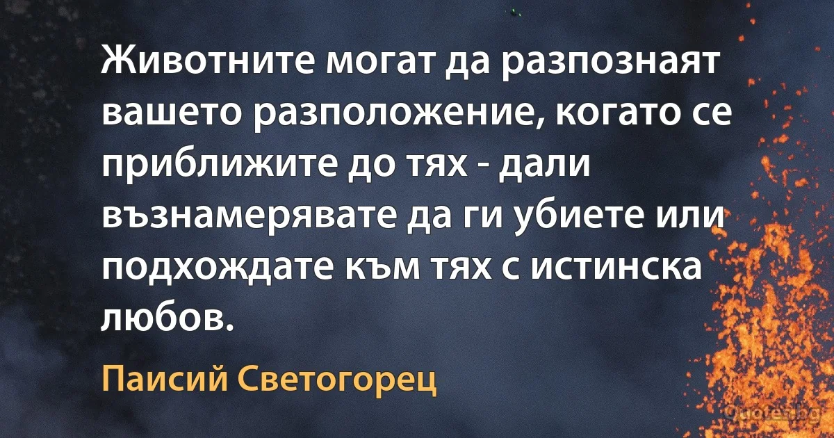 Животните могат да разпознаят вашето разположение, когато се приближите до тях - дали възнамерявате да ги убиете или подхождате към тях с истинска любов. (Паисий Светогорец)