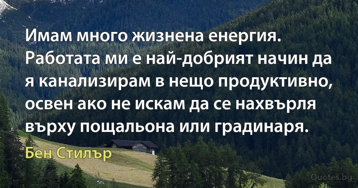 Имам много жизнена енергия. Работата ми е най-добрият начин да я канализирам в нещо продуктивно, освен ако не искам да се нахвърля върху пощальона или градинаря. (Бен Стилър)