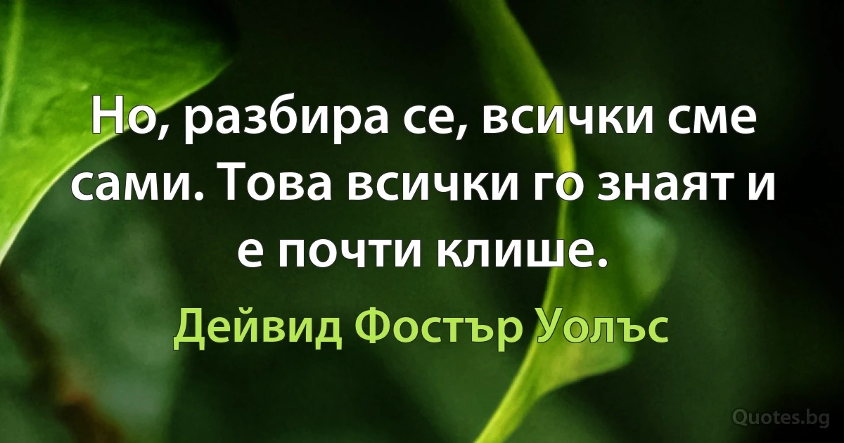 Но, разбира се, всички сме сами. Това всички го знаят и е почти клише. (Дейвид Фостър Уолъс)