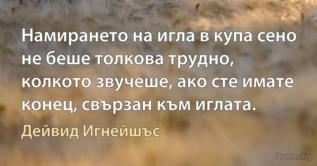 Намирането на игла в купа сено не беше толкова трудно, колкото звучеше, ако сте имате конец, свързан към иглата. (Дейвид Игнейшъс)