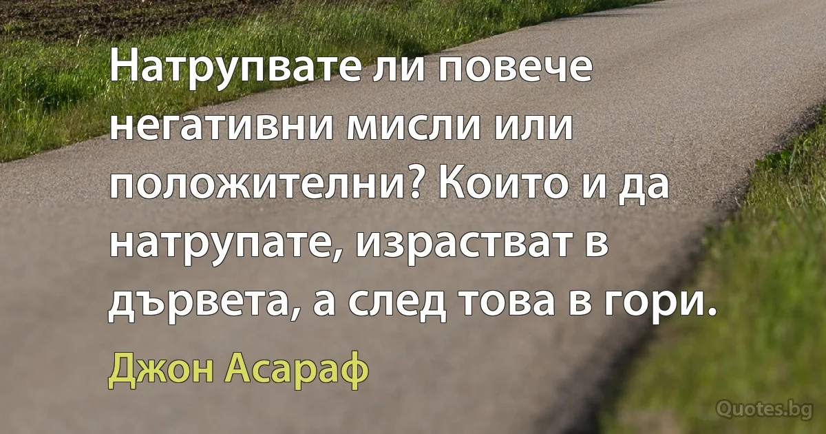 Натрупвате ли повече негативни мисли или положителни? Които и да натрупате, израстват в дървета, а след това в гори. (Джон Асараф)