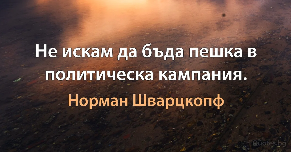 Не искам да бъда пешка в политическа кампания. (Норман Шварцкопф)