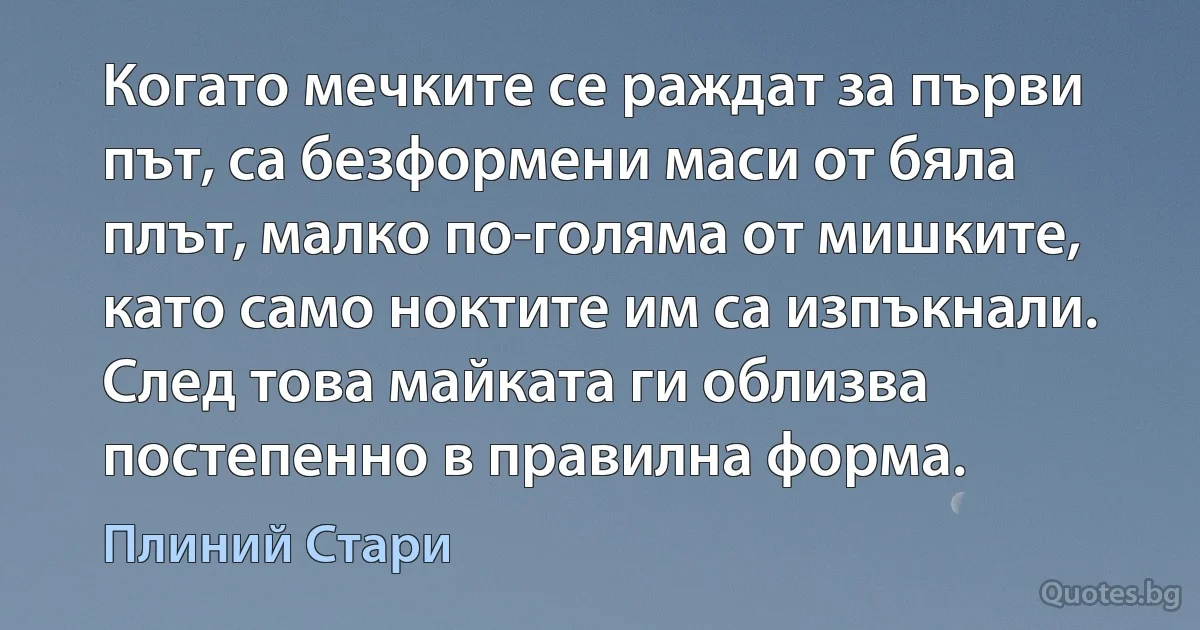 Когато мечките се раждат за първи път, са безформени маси от бяла плът, малко по-голяма от мишките, като само ноктите им са изпъкнали. След това майката ги облизва постепенно в правилна форма. (Плиний Стари)