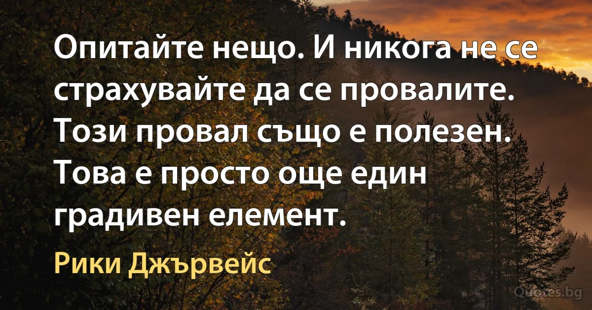 Опитайте нещо. И никога не се страхувайте да се провалите. Този провал също е полезен. Това е просто още един градивен елемент. (Рики Джървейс)